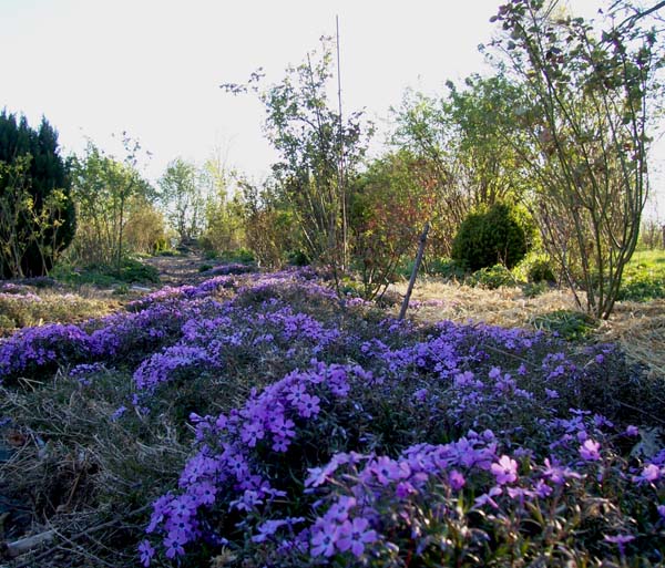 Spar Und Erfahrungsblog Techniker Krankenkasse Bonusheft 2019