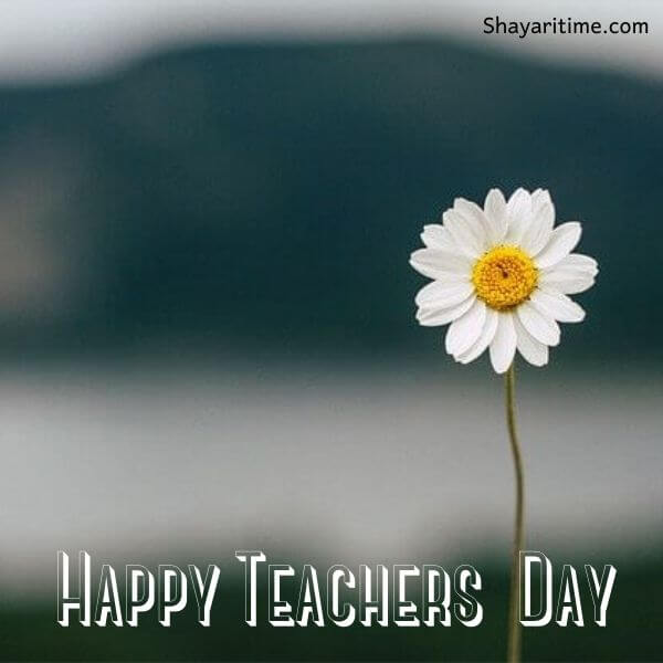 teachers day wishes