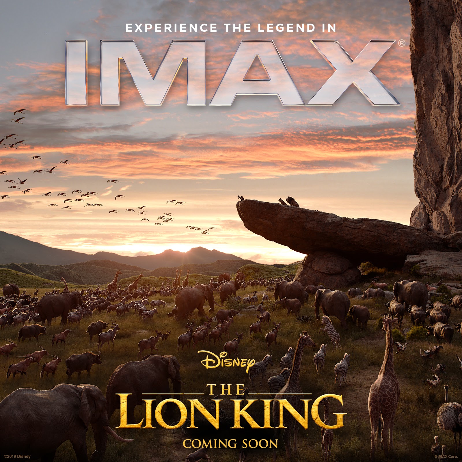 Mumbai News Network Latest News The Lion King IMAX Movie Poster