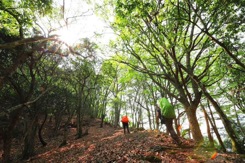 盆駒西北稜駁坎群