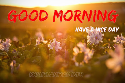 Good Morning Images Good Morning Images