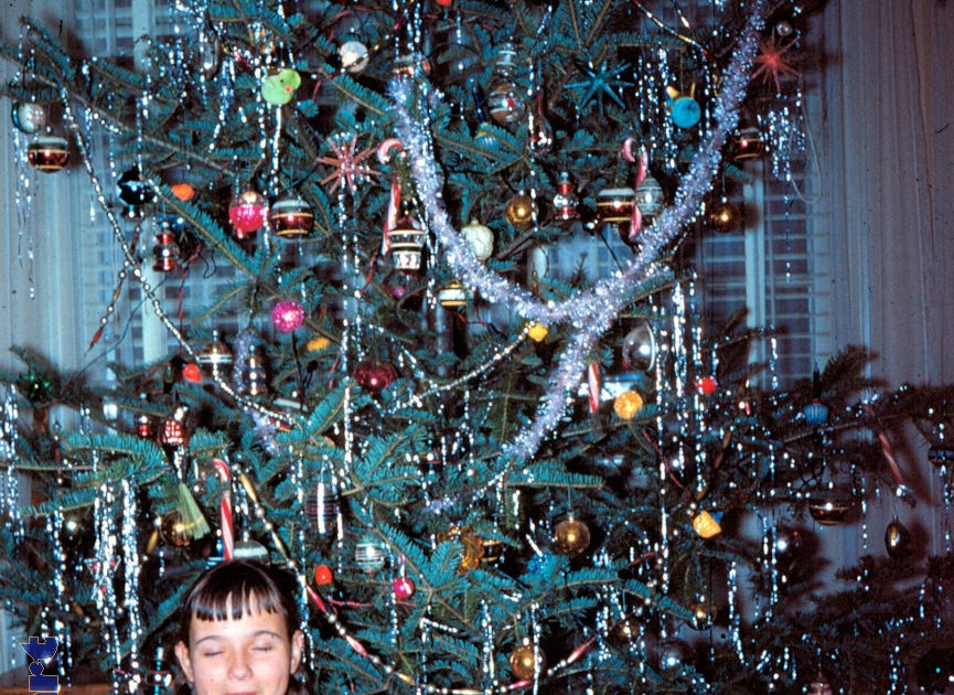 The Slide Guy The Festooned Tree