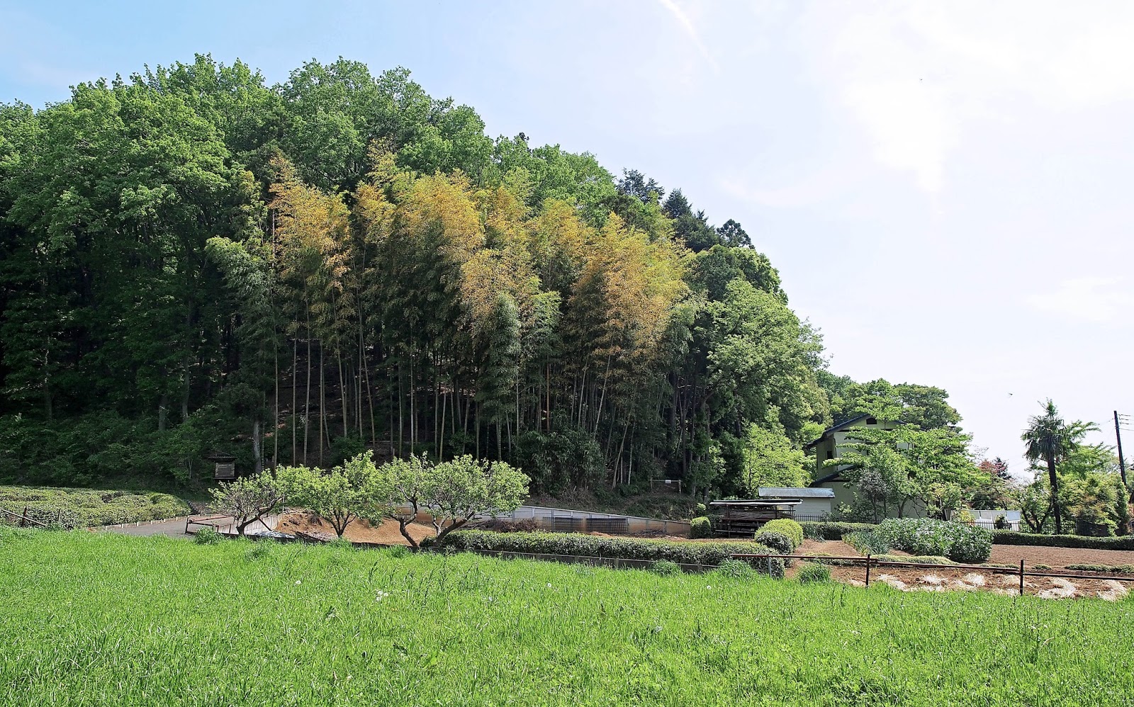 rx-78-2: 東京2015(Day3)--龍貓森林。狹山丘陵