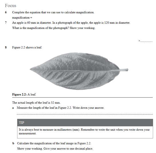 An electronically magnified image of a specimen biology essay image