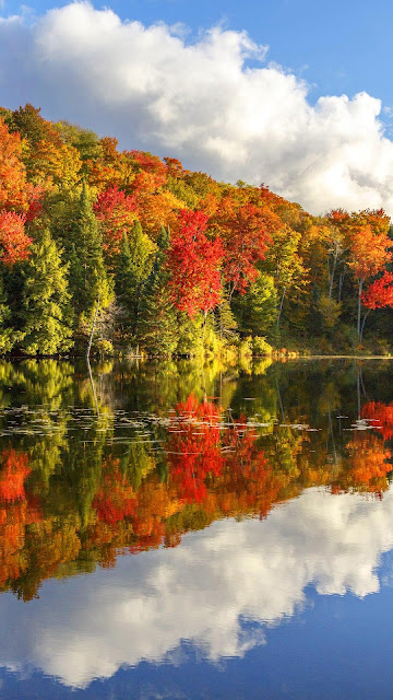 Wallpaper autumn landscape, lake, forest, clouds