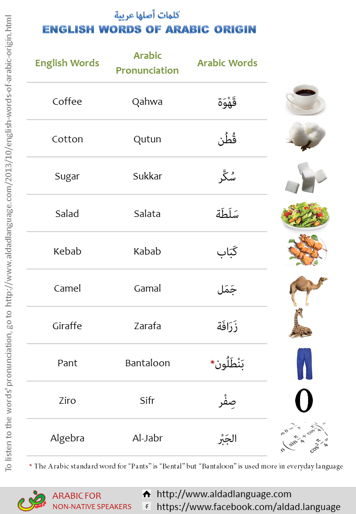 Quran translation in urdu : arabic to english