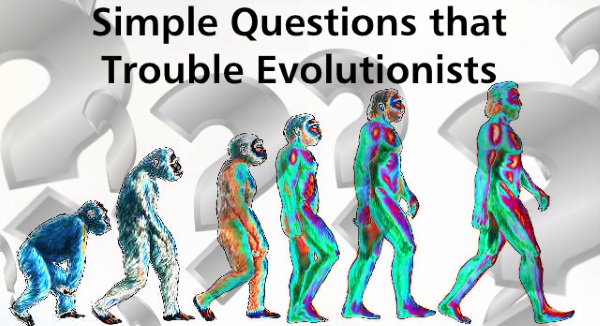 9 Best Berlin Images In 2012 Berlin Germany Berlin Berlin