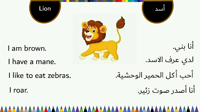 Animals for kids in English