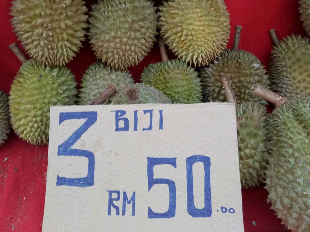 Nikmat Bila Dapat Makan Durian