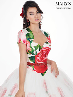 Ivory Rose Printed Color Ball Gown Dress Front Design