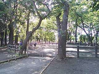 東板橋公園内にあるポニー広場