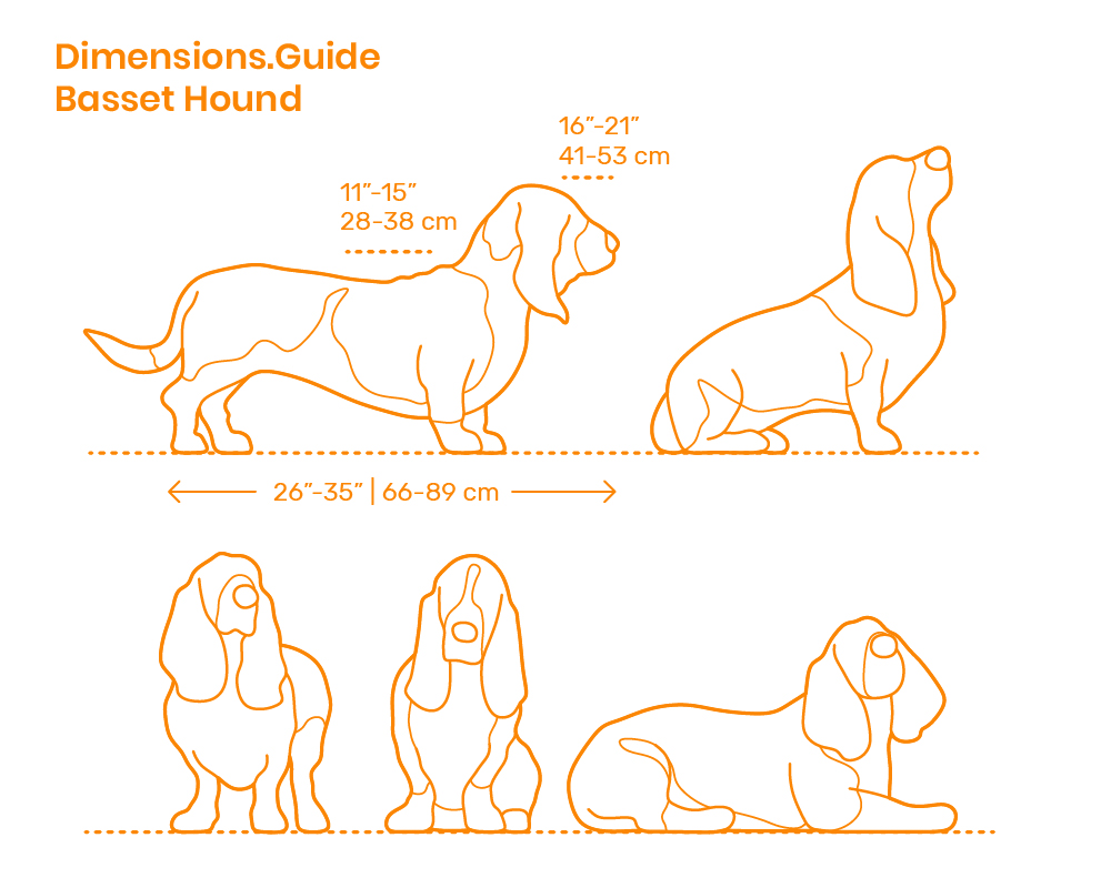 Better Posters Link roundup for July 2019