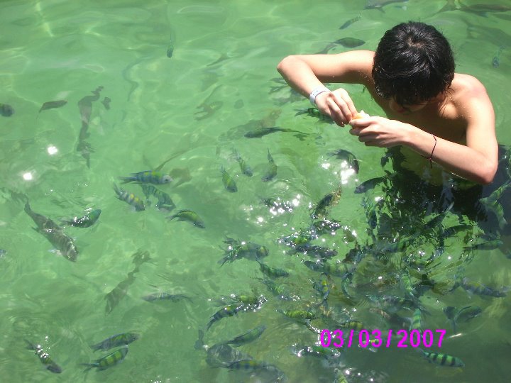 LANGKAWI BUDGET PAKEJ * PAKEJ SNORKELING PULAU PAYAR MARINE PARK