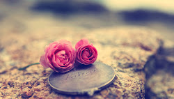 rose romantic wallpapers flowers hearts