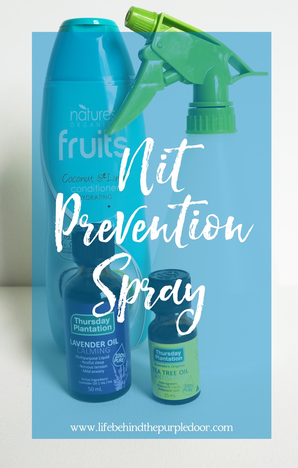 Nit Prevention Spray (and bonus hair detangler) Life Behind The Purple Door