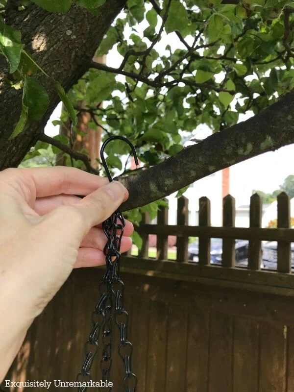 Hanging bird feeder chain on tree branch