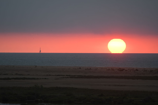 Salida del sol en el Delta de l'Ebre