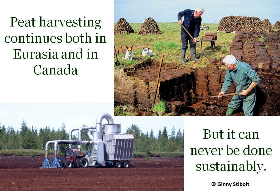 Green Gardening Matters Peat moss is never sustainable