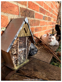 sMOOCH AND THE BUG HOTEL ©BionicBasil® The Pet Parade 341