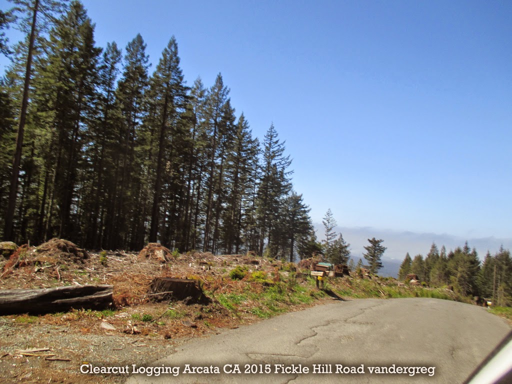  logging near Arcata, CA on Fickle Hill Road