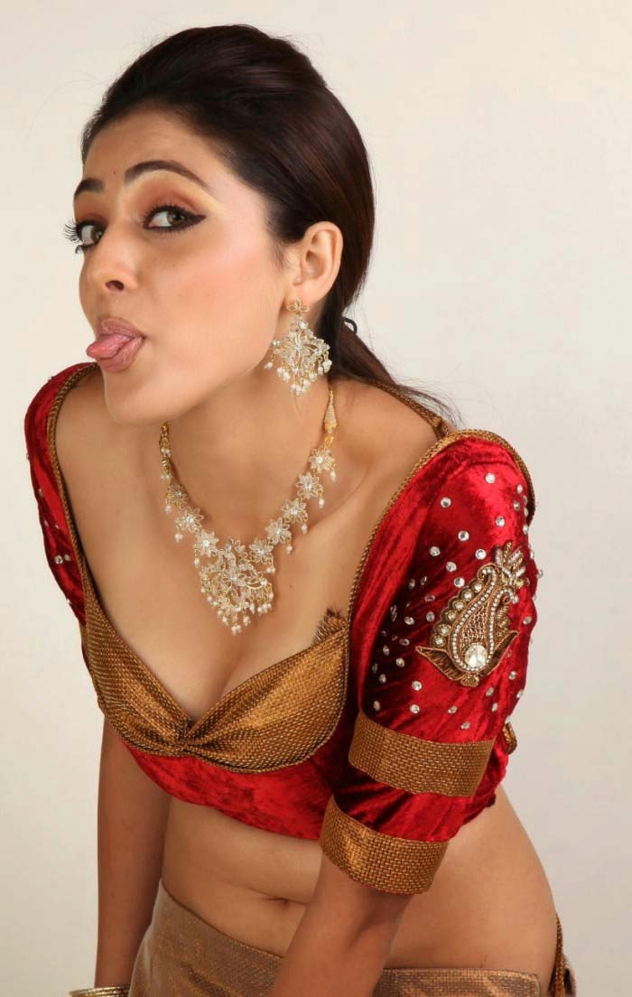 hot indian house wife parvathi melton sexy saree removing deep cleavage ...