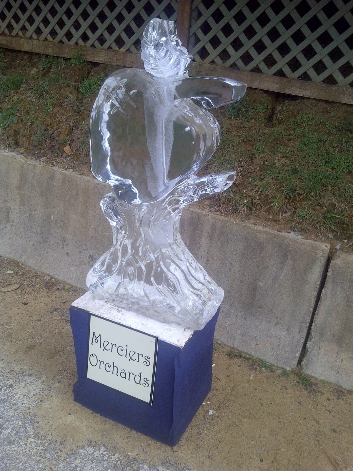 North Flea Markets Fire and Ice Festival in Blue Ridge