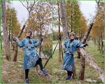 大溪景點.山豬湖親水公園.再訪迷路.有緣姊妹淘狂拍樂逍遙