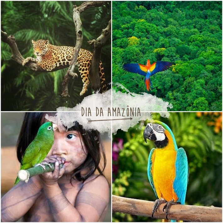 ESCOLA MUNICIPAL VICENTE GUIMARÃES: MATERIAL DE ESTUDO 3º ANO - PERÍODO