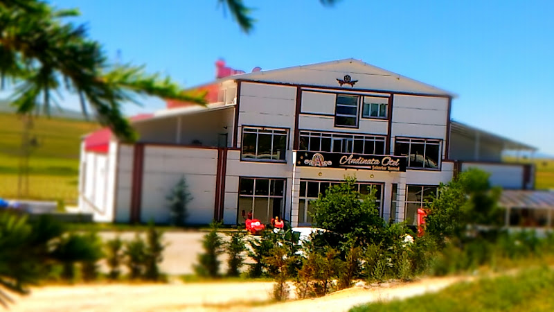 Andinata Otel