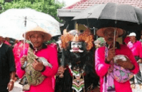 Mantu Kucing Pacitan Mantu Kucing Pacitan