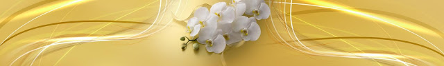  Скинали белые орхидеи на желтом