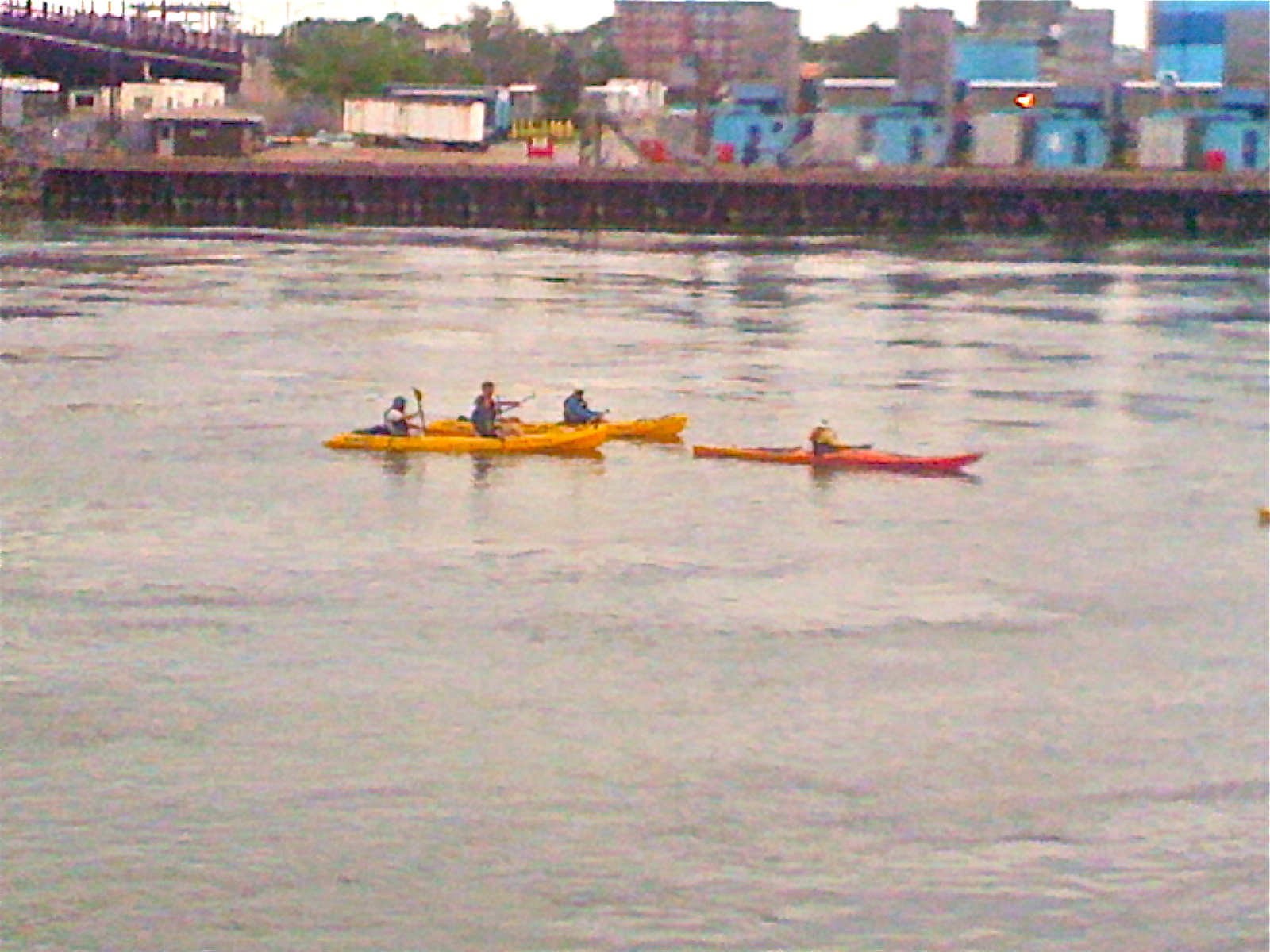 Roosevelt Islander Online East River Kayakers Passing Roosevelt Island