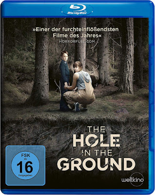 The Hole in the Ground (2019) Dual Audio ORG 720p BRRip HEVC x265 ESub