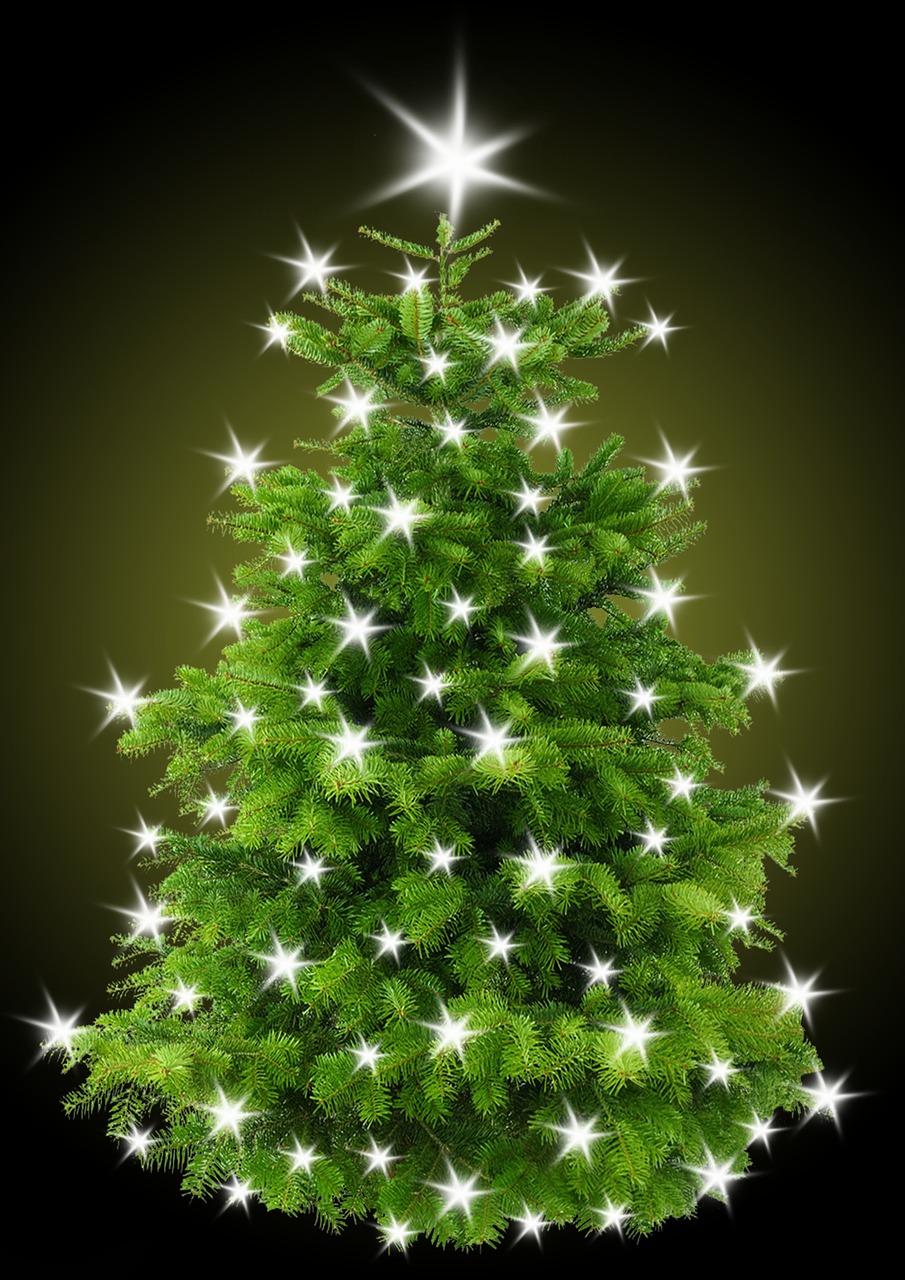 Christmas Tree || Christmas Tree Lights || Christmas Tree Decoration Images||Christmas Tree Artificial || Christmas Tree Artificial Photo Download Christmas Tree || Christmas Tree Lights || Christmas Tree Decoration Images||Christmas Tree Artificial || Christmas Tree Artificial Photo Download