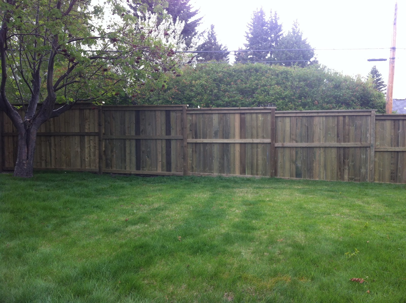 Calgary deck builders Calgary decks CALGARY LANDSCAPING FENCES IN