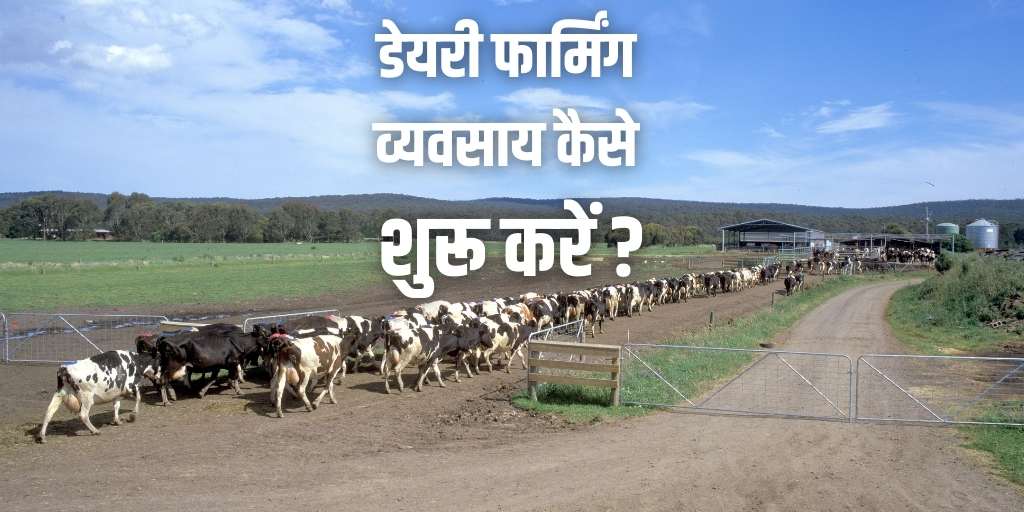How to Start Dairy Farming In Hindi डेअरी इंडस्ट्रीचे सर्वात मोठे Dairy