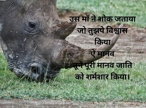 Hindi Poem on Elephant Incident in Kerala,hindi poem, Elephant Incident Poem