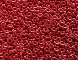 ما هي أسباب تخثر الدم
