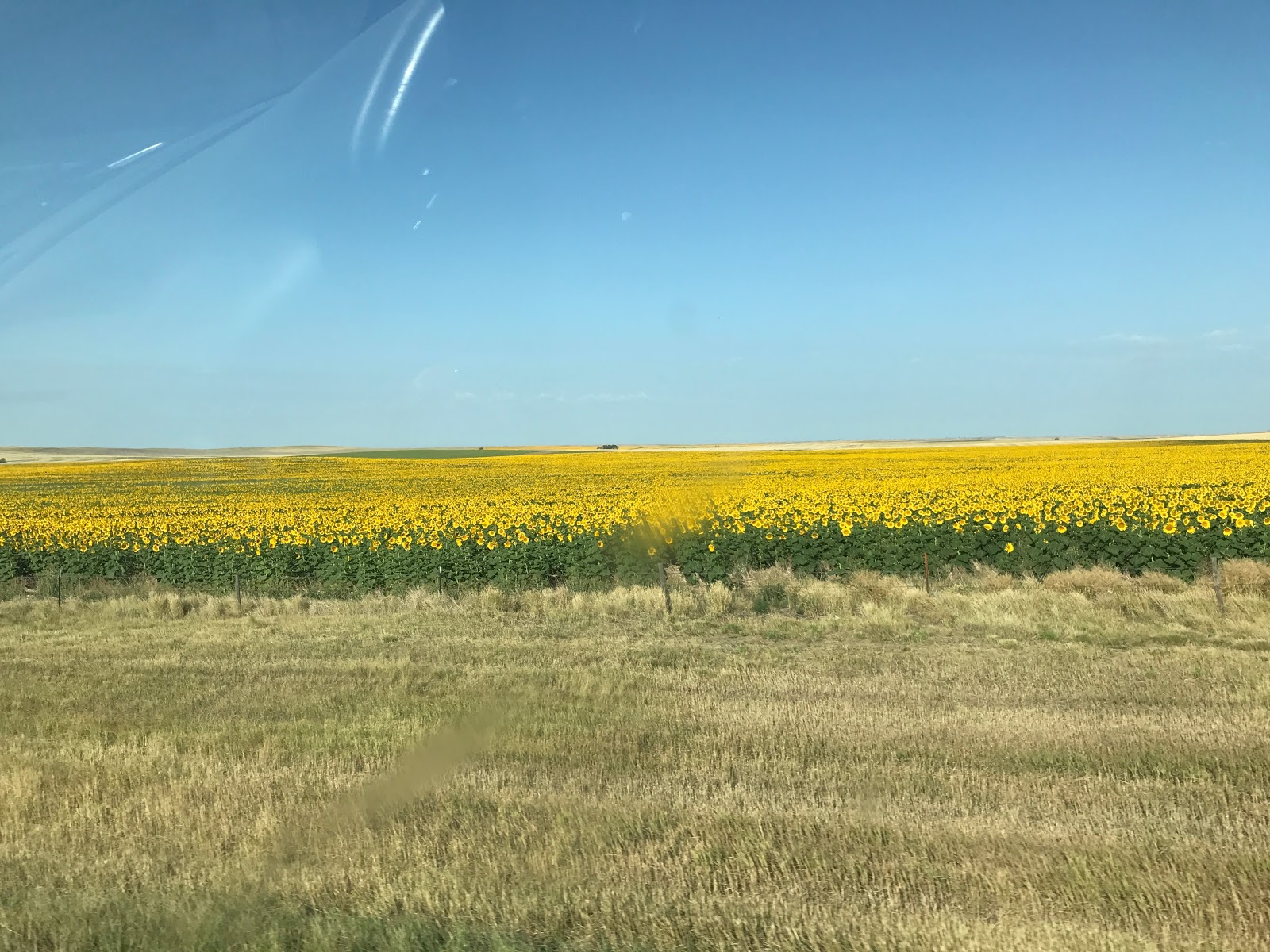 Eagle Butte First Baptist Church 2019