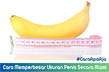 Cara Memperbesar Ukuran Penis Secara Alami