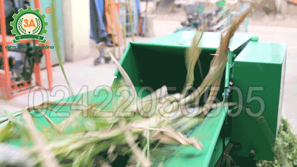 máy băm cỏ cây ngô