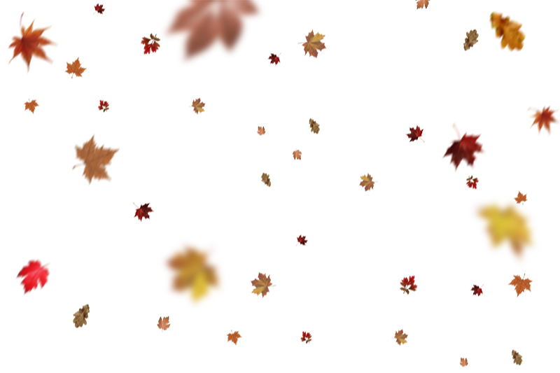 Best 10 Falling Leaves Overlays for Free Download Free