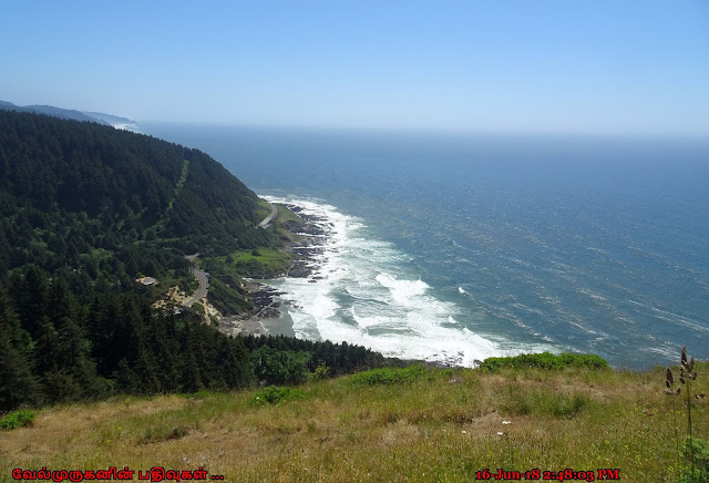 Cape Perpetual Headland Viewpoint