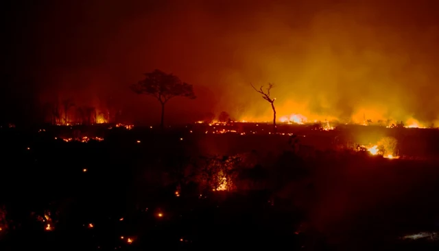 Incendios en la Amazonia es una amenaza para indígenas, dice ONG Land is Life
