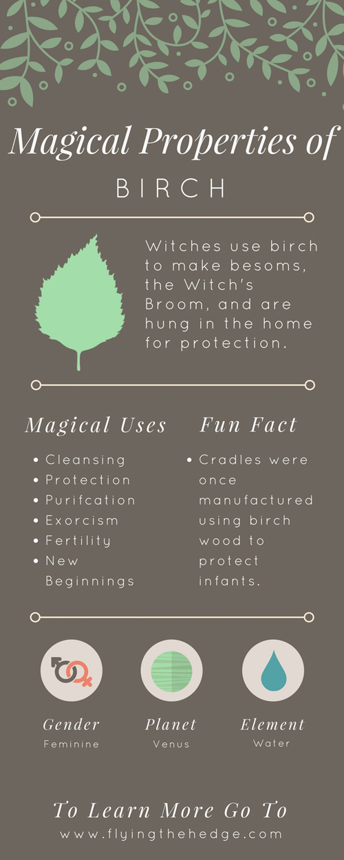 Flying the Hedge Magical Properties of Birch