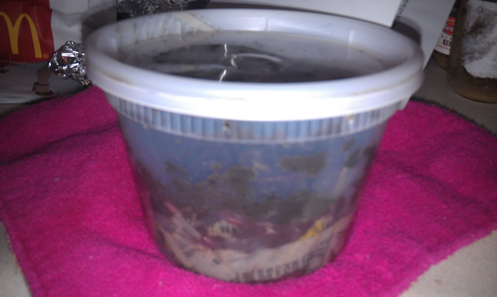 Little Lambs Worm Delivery