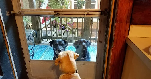 5 Fast Tidy Fixes and Feng Shui