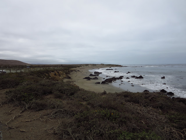 San Simeon Beach