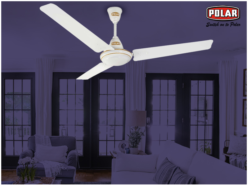 Polar India Buy Efficient And Attractive Fans For Your Home