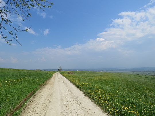 Droga przez wzniesienie Wieśniostuka.